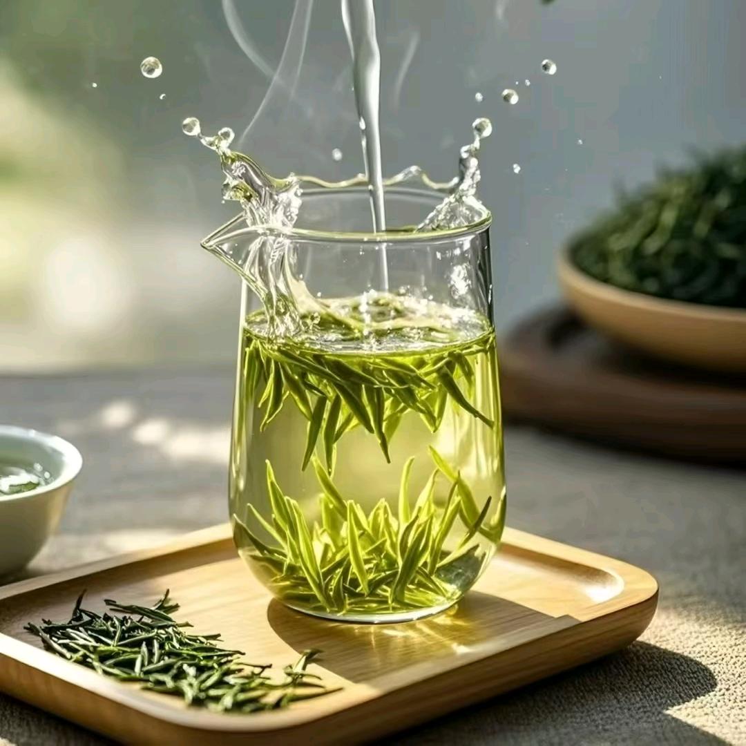 雅安毛芙春茶业