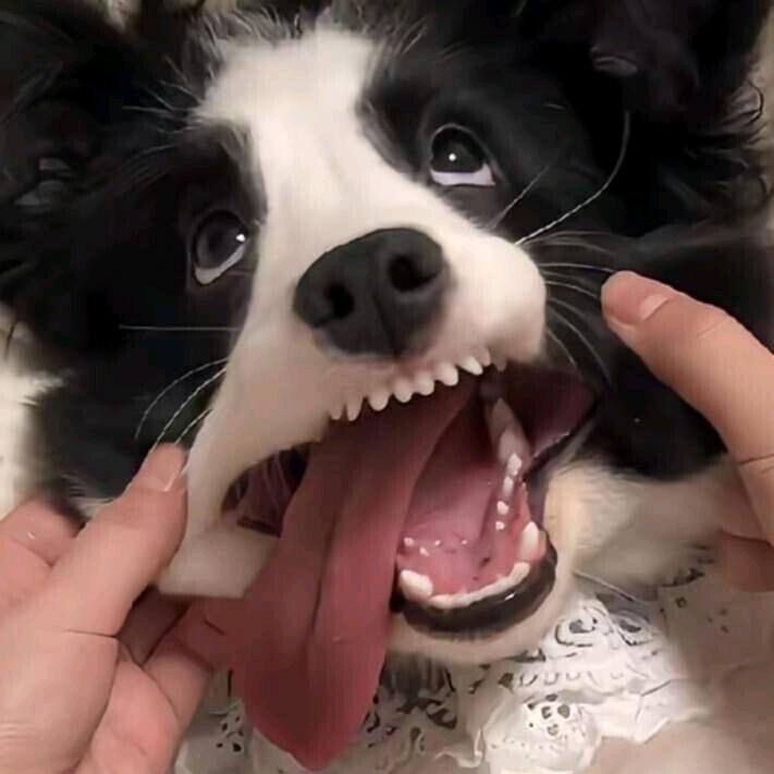 公共厕所扣路人痔疮被他男朋友堵厕所里肘击