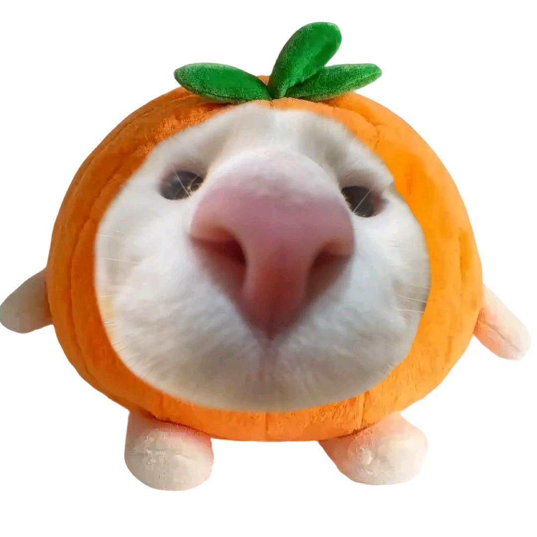 就叫寻阳吧