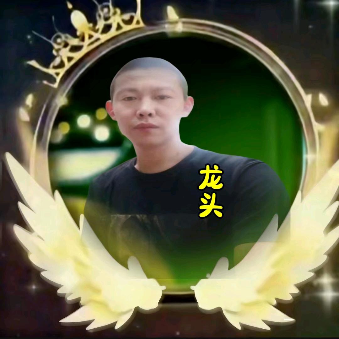 龙🐲头