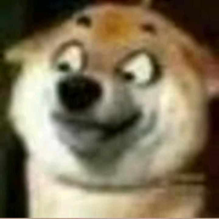 笑死人不偿命