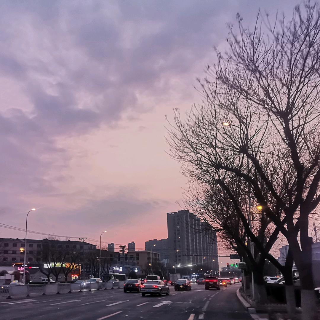 自由鸟