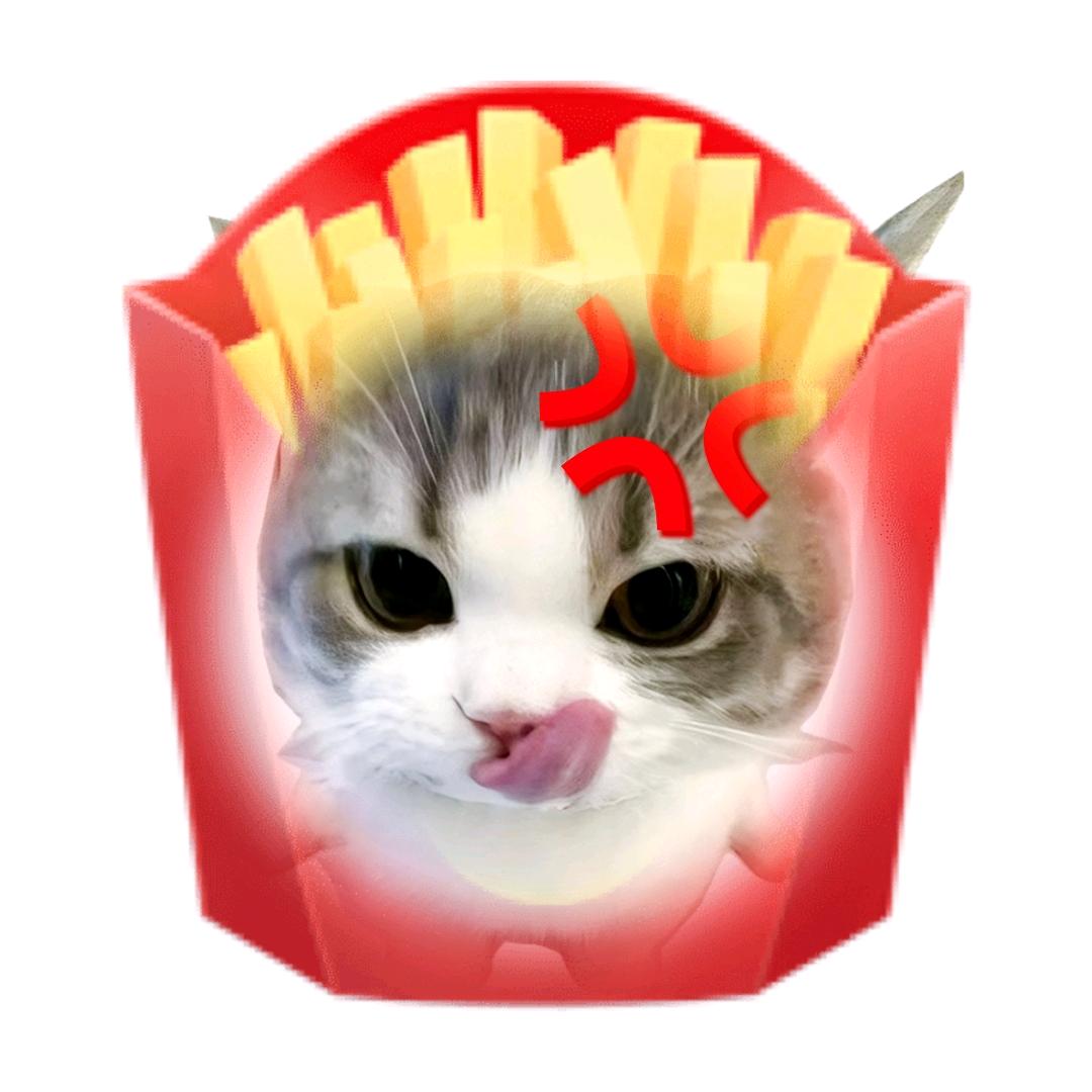 貓貓