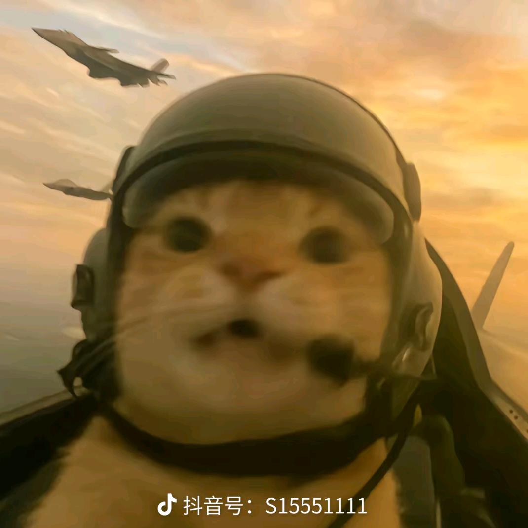 王牌飞行员申请出战