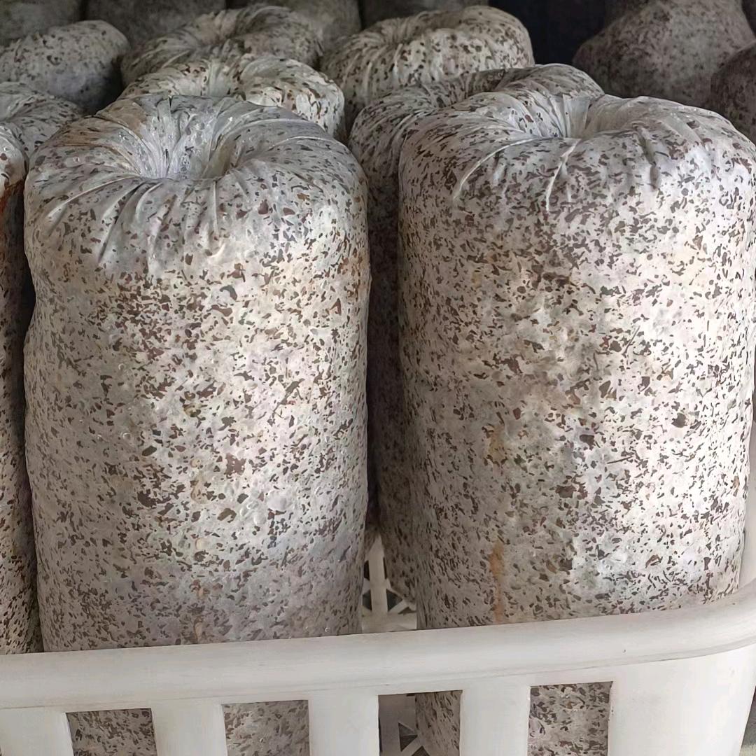 玉🍄米🍄芯🈶棉🍄壳🍄菌🍄种