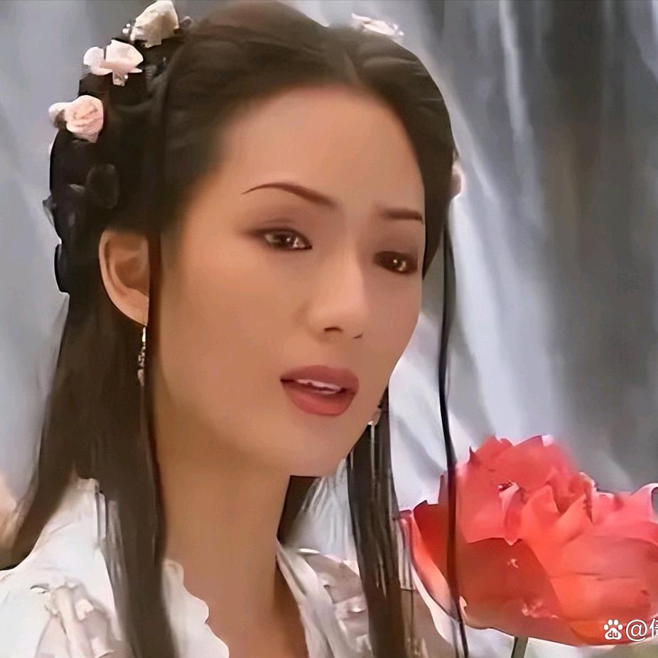 小燕子