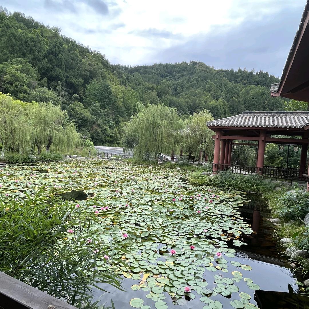 平平淡淡过一生