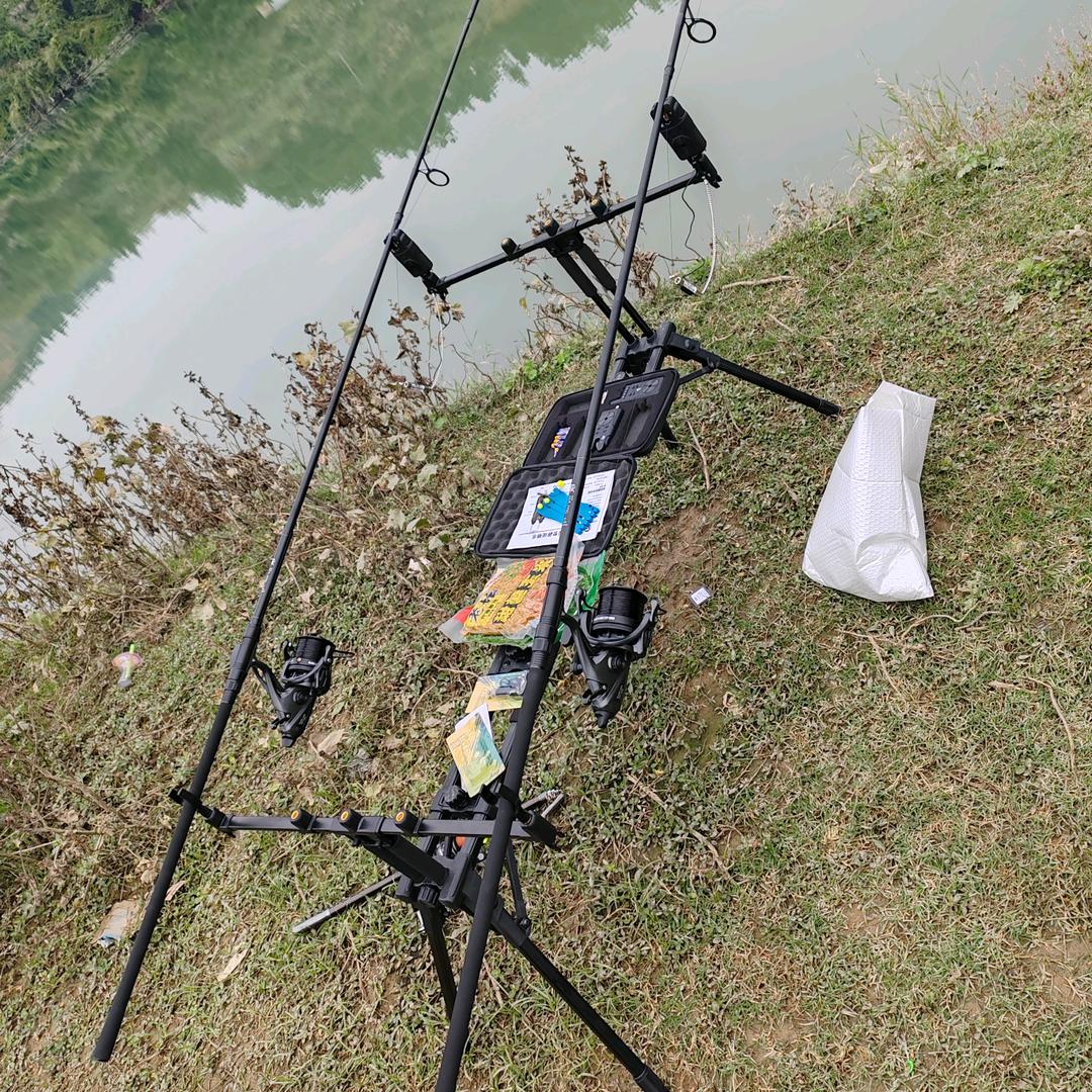 🐋水生物🐋动态博弈🐋