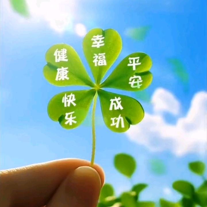 拼搏