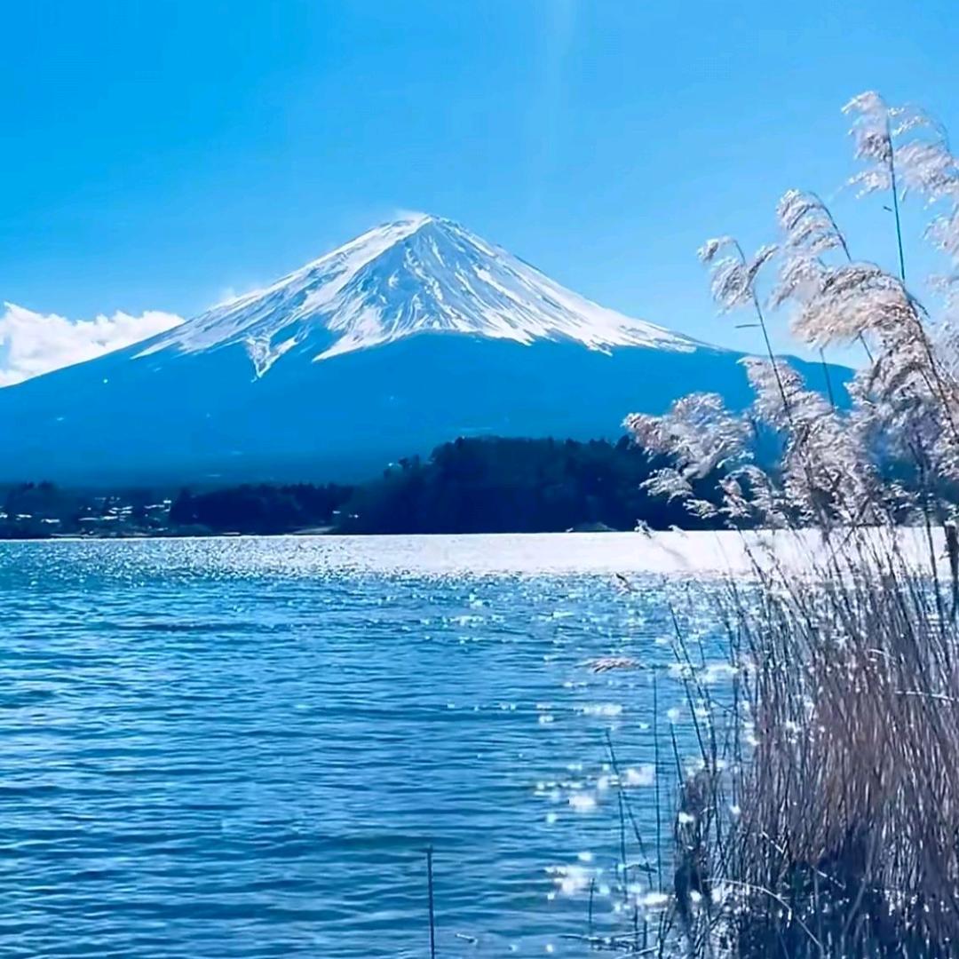 珍惜🌿