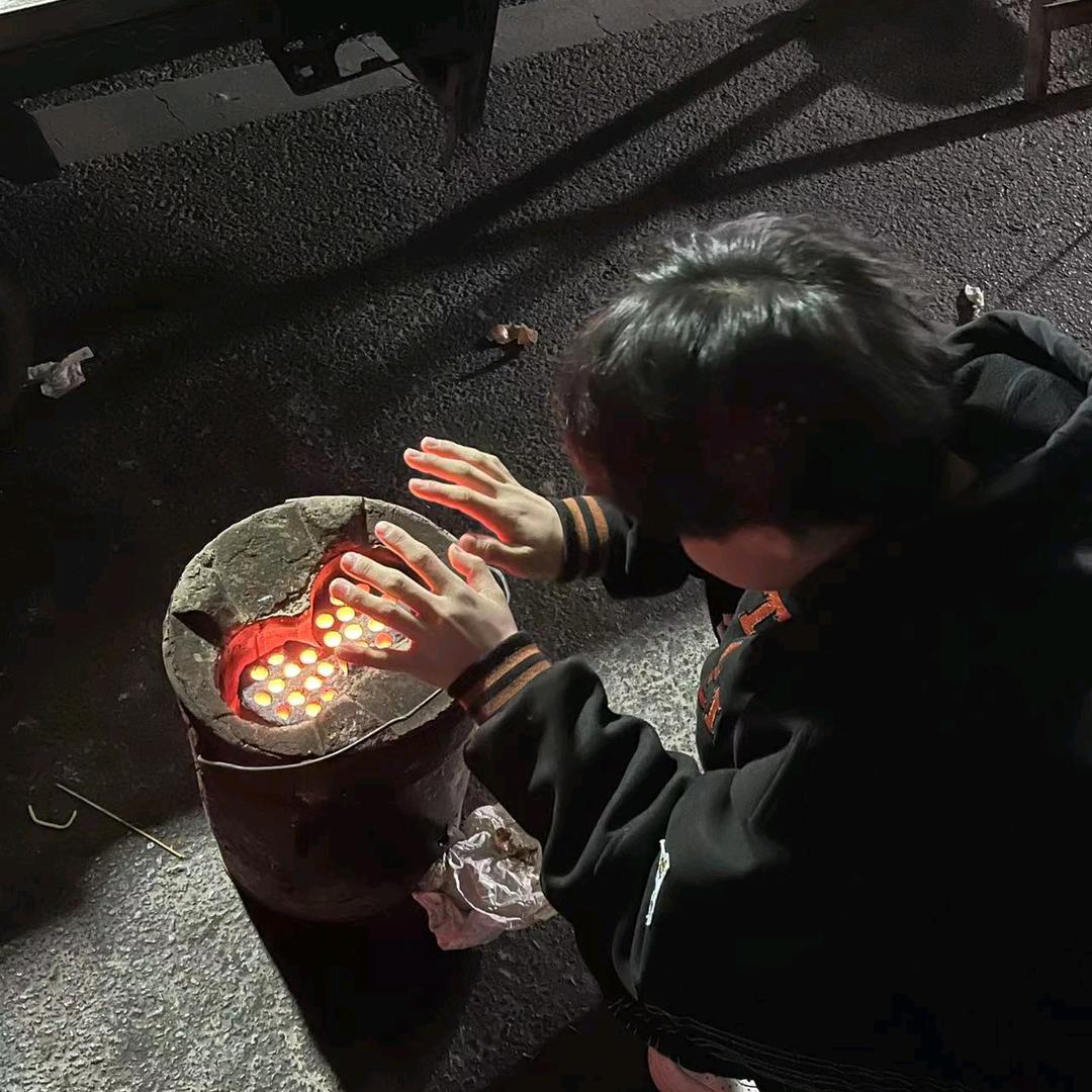 小鸡