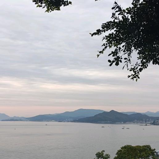 马超美