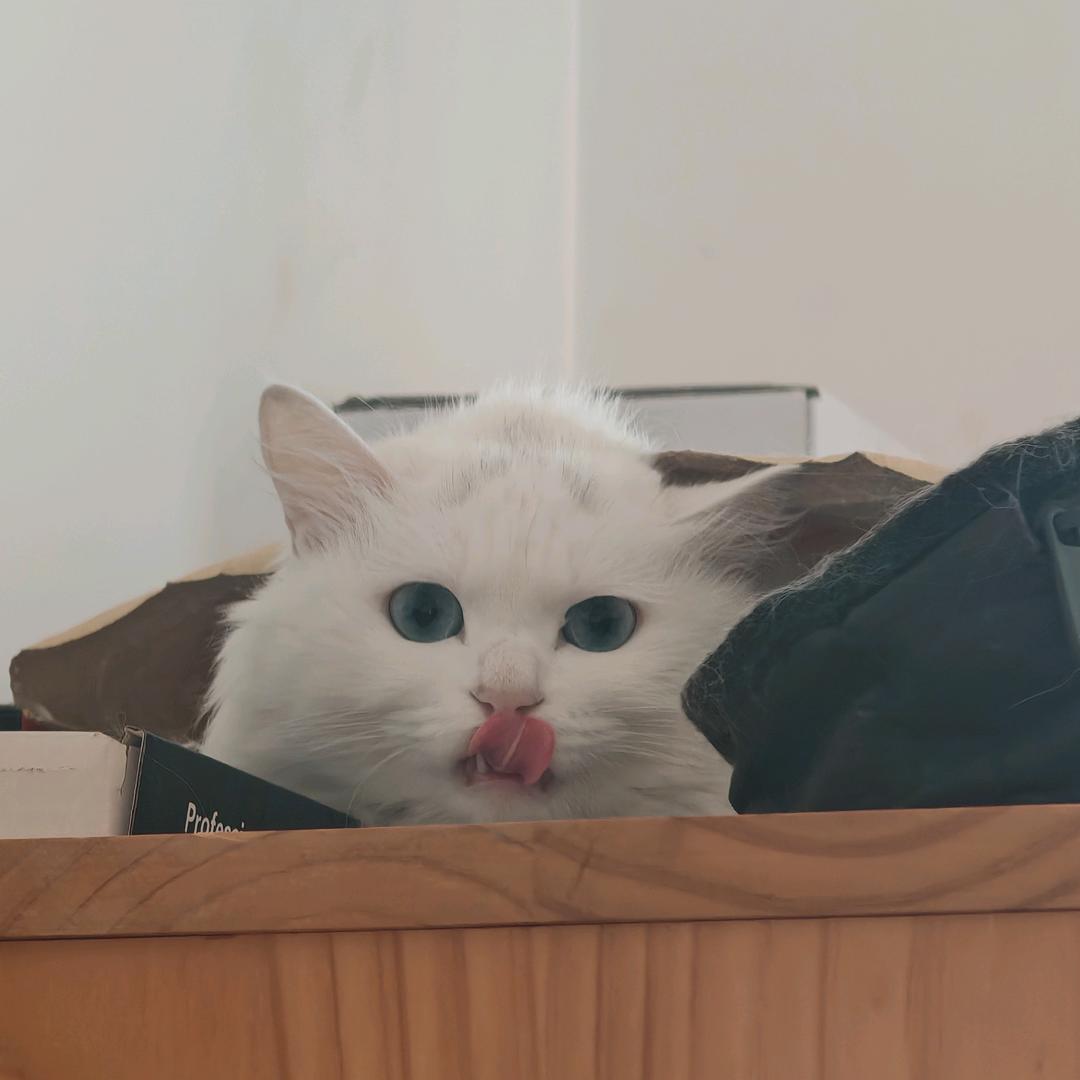 Jonny