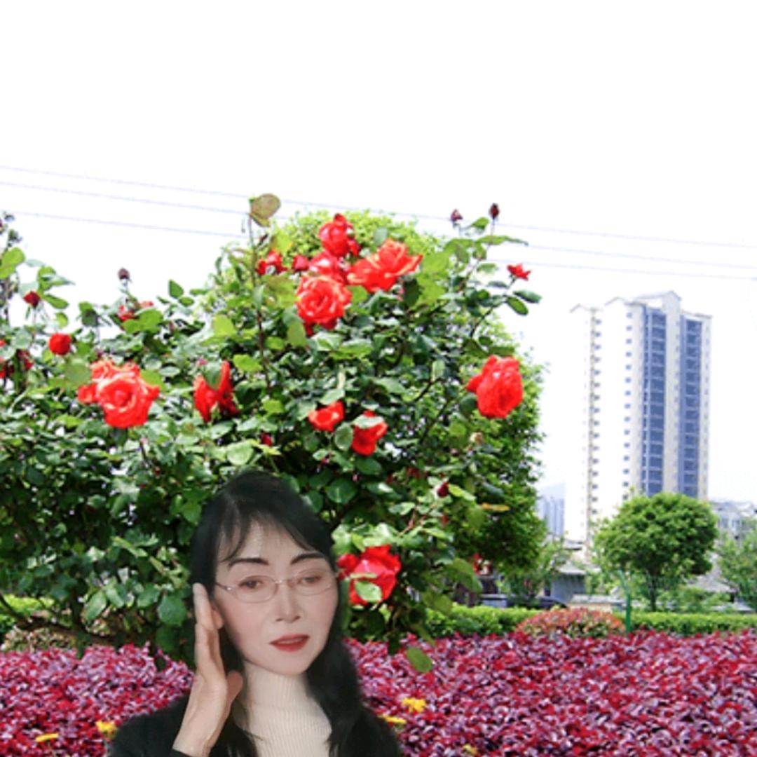 陈花花