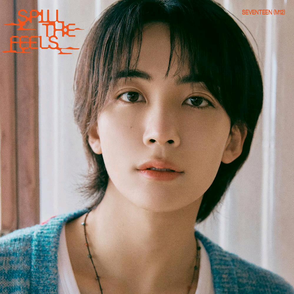 SEVENTEEN_净汉Jeonghan