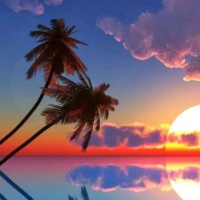夕阳.