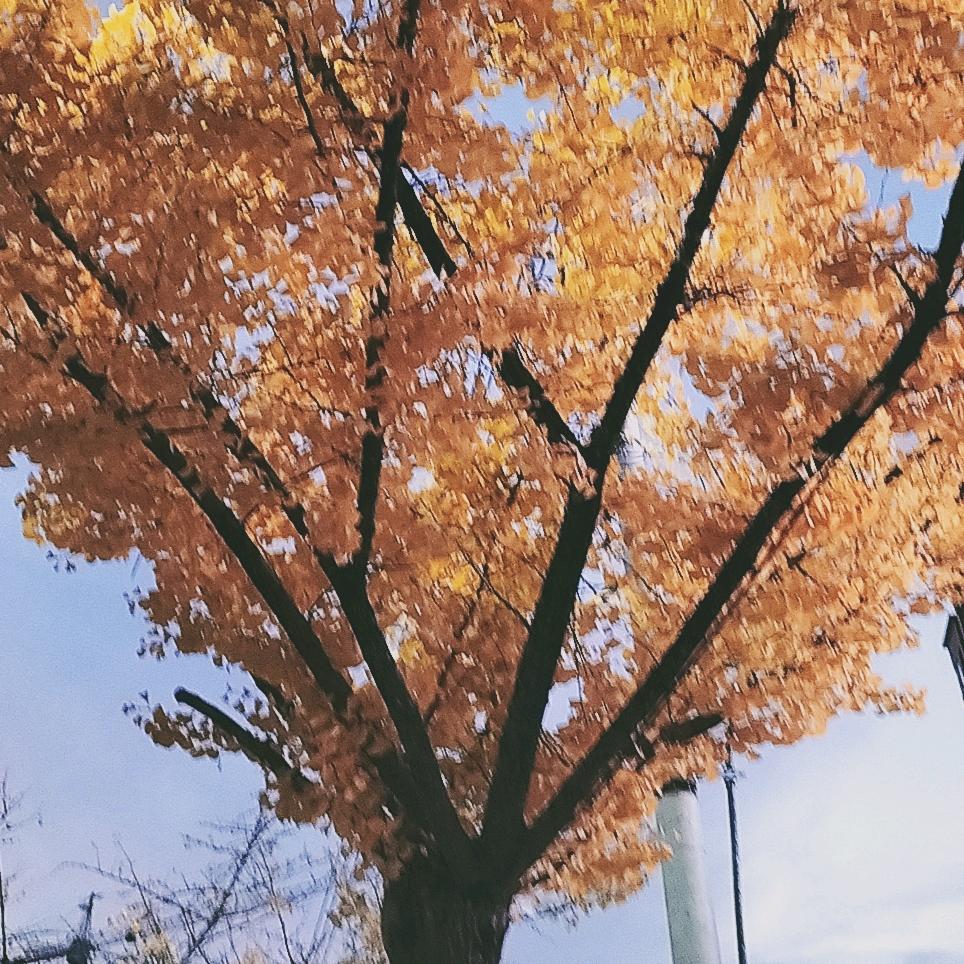 有你就足够