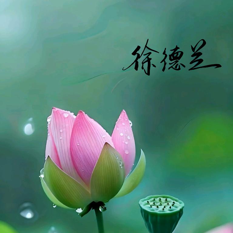 智慧的小跟班