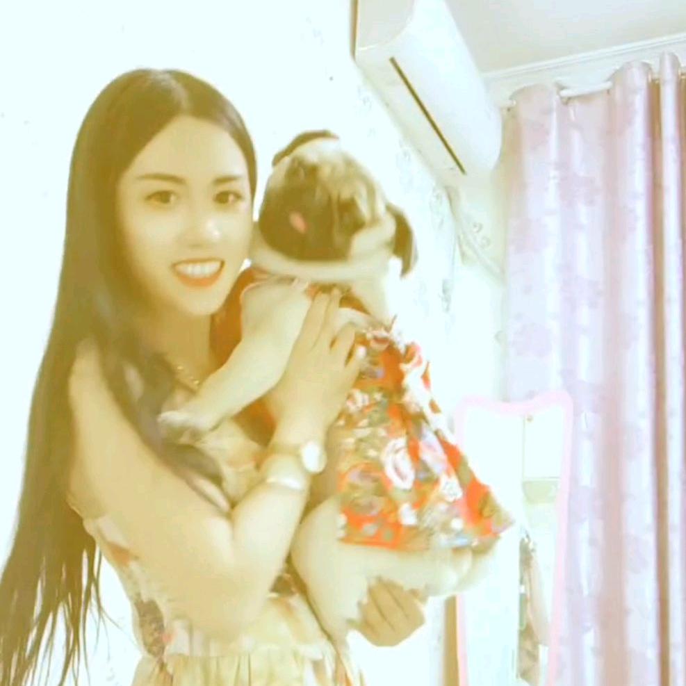 八哥犬小咯咯
