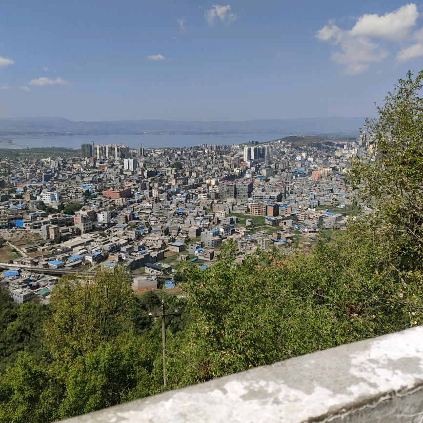 柠檬情感