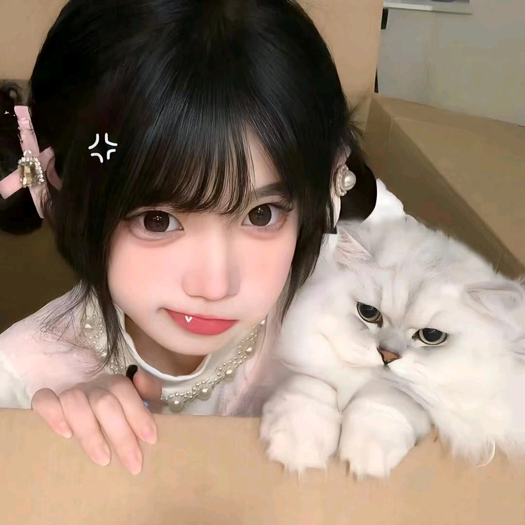 歆小碎.🍓