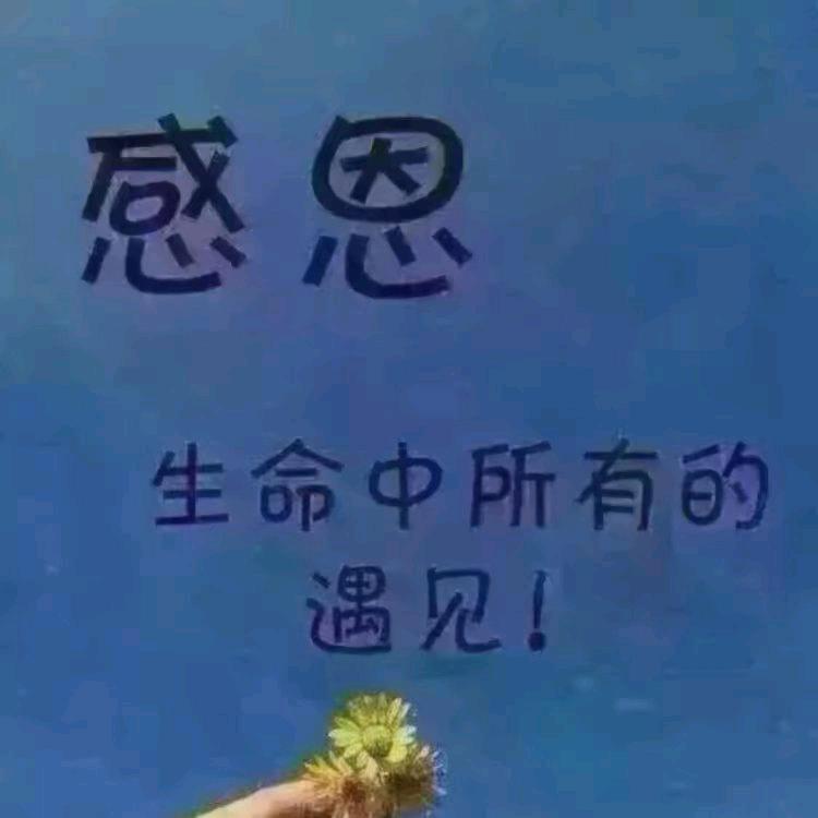 感恩遇见，在生命中