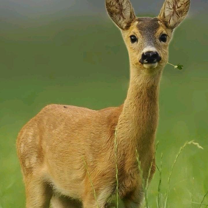 山东零食炒货工厂店