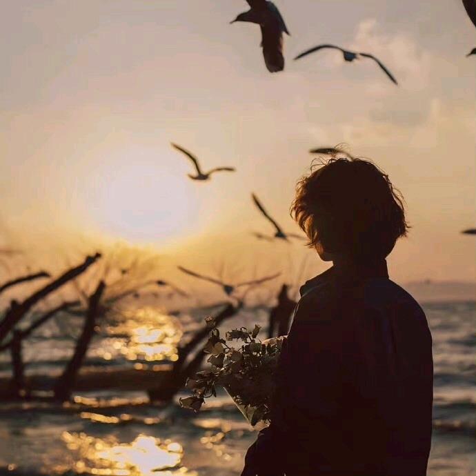 捧着鲜花来见你