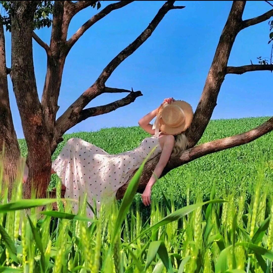 疯感嘻