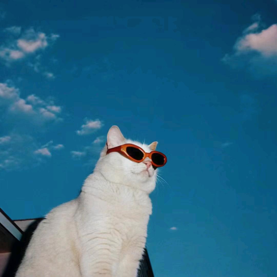 今天