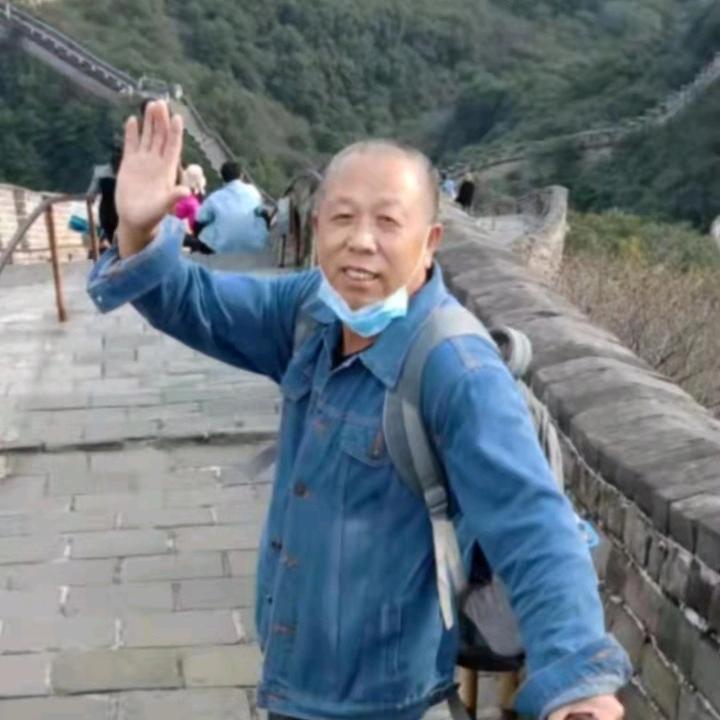 落叶无栖