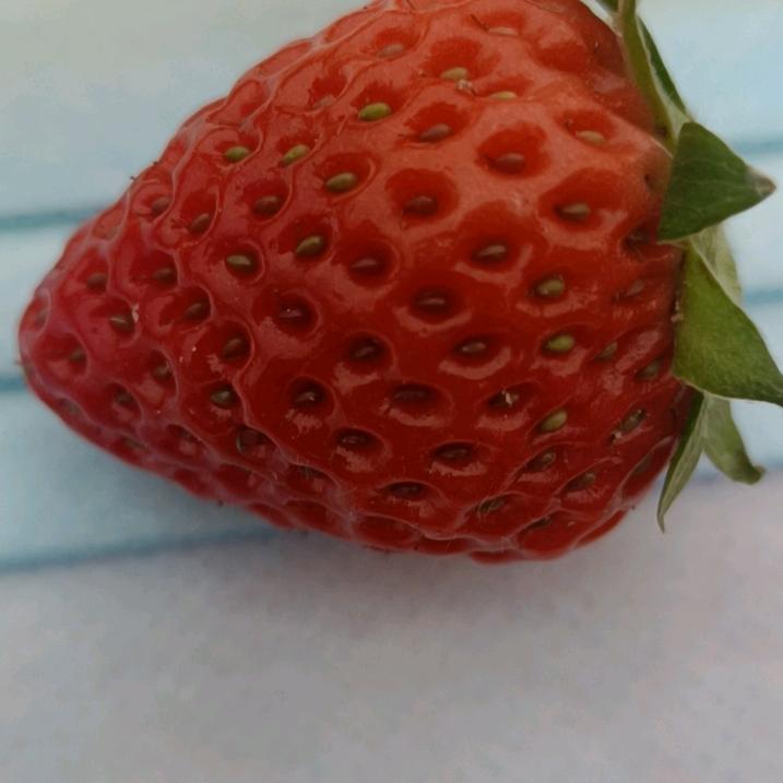 水果姐