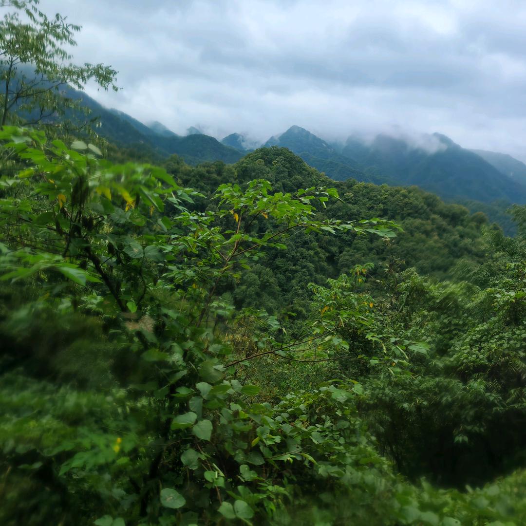 🚬ಇ᭄搞钱要紧࿐: