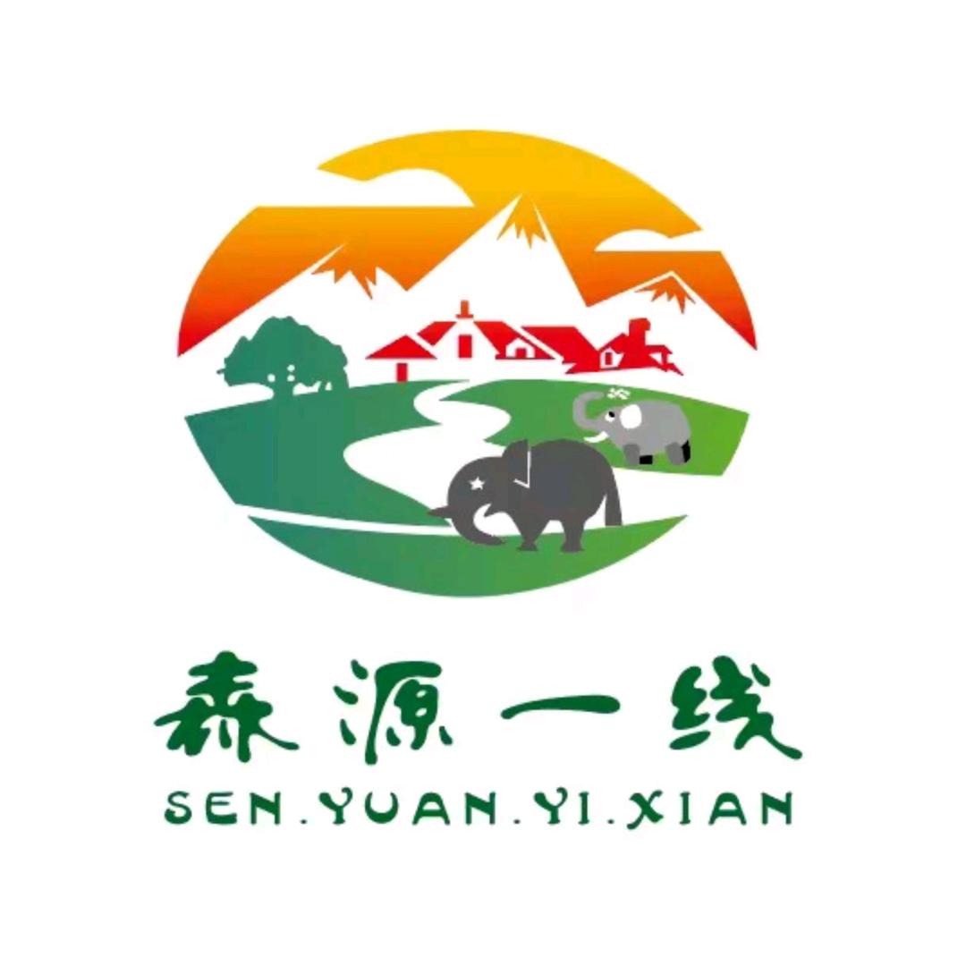 森源一线