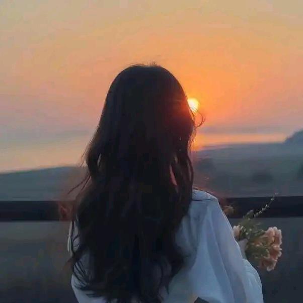 孤单让我安然无恙🍃