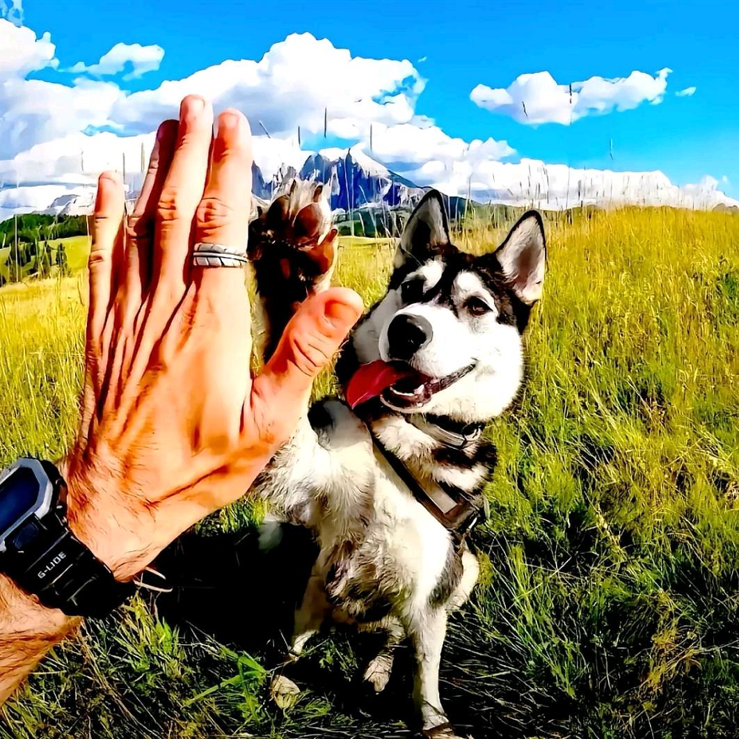 🌈jdhd