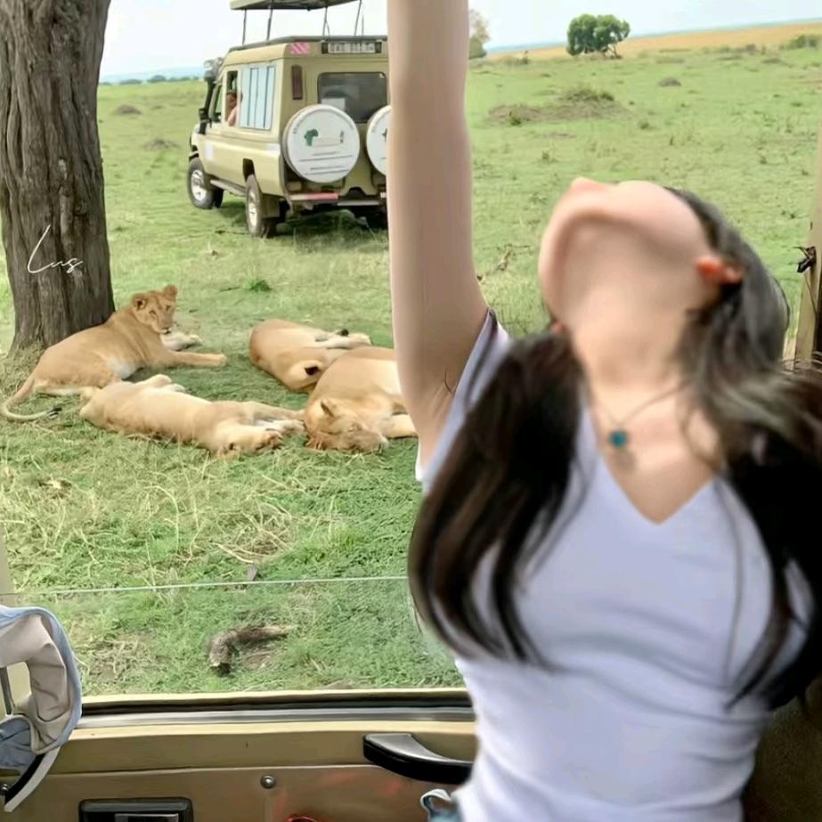🦓