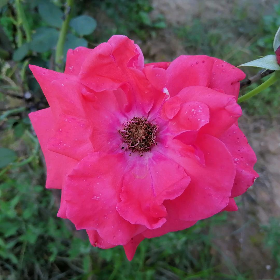 幸福人生   拒私聊