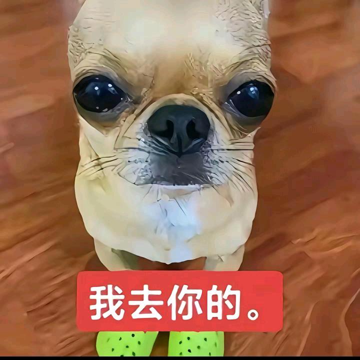 贝利亚