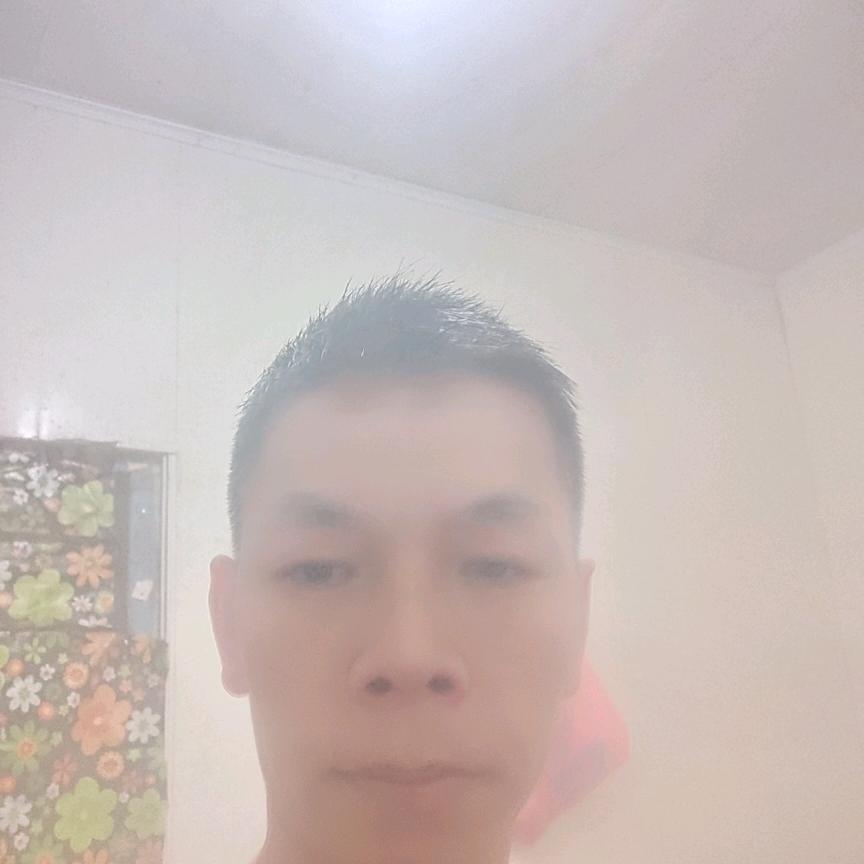 夜鹰