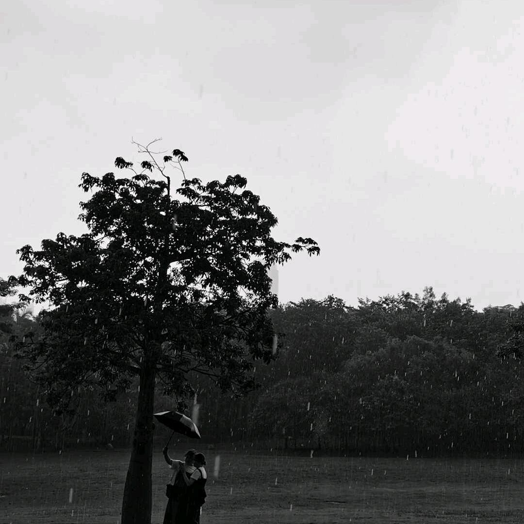 忘不了自己了爱