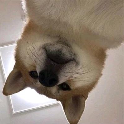 裸辞后疯狂出发