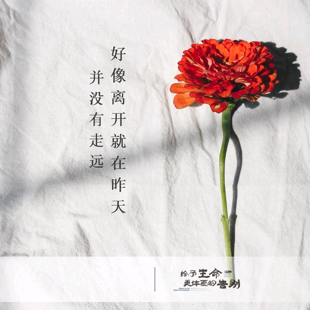 缘来都是李