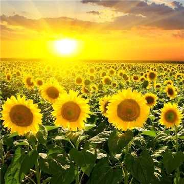 甜甜淡淡甜（宝贝成长记录）