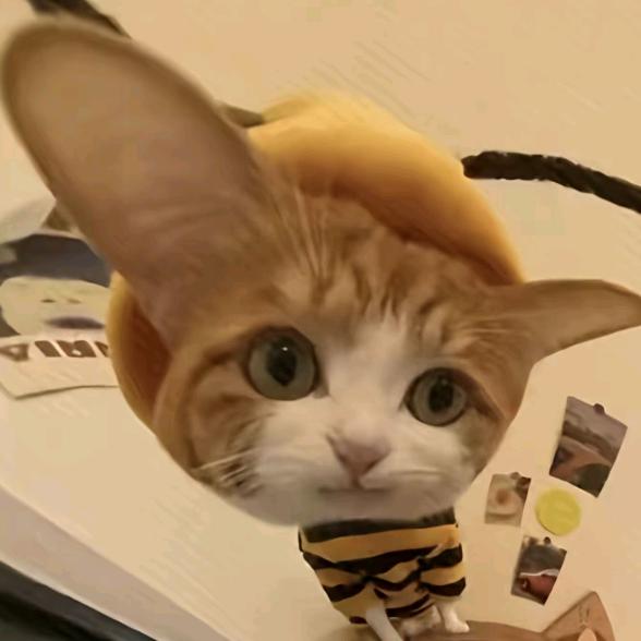 装忧郁被打掉两颗牙