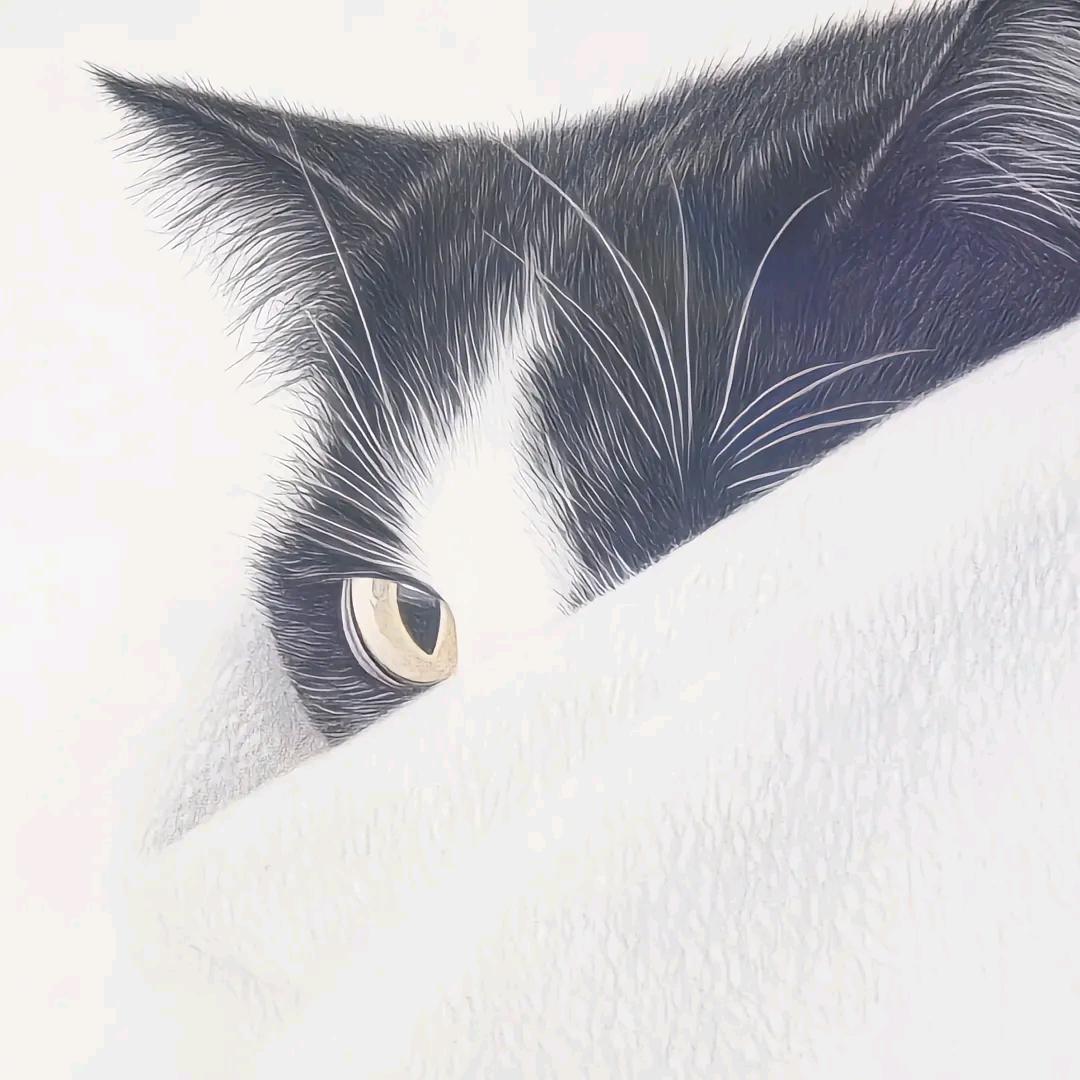 悠友