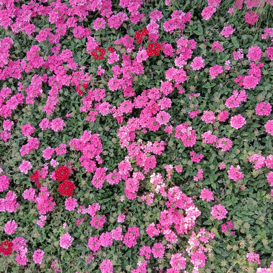 珍惜现在，忘记过去