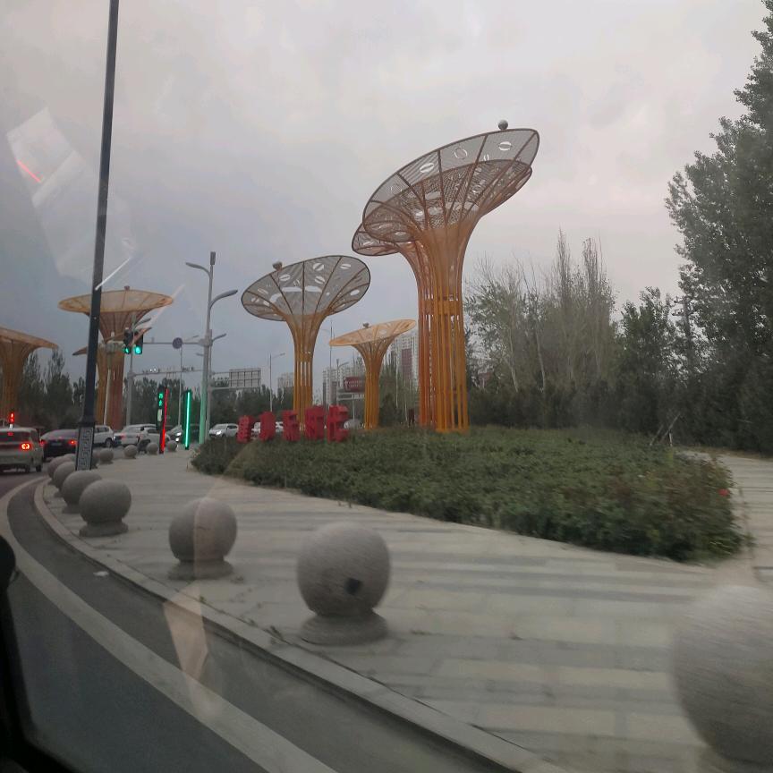 豆玫瑰豆