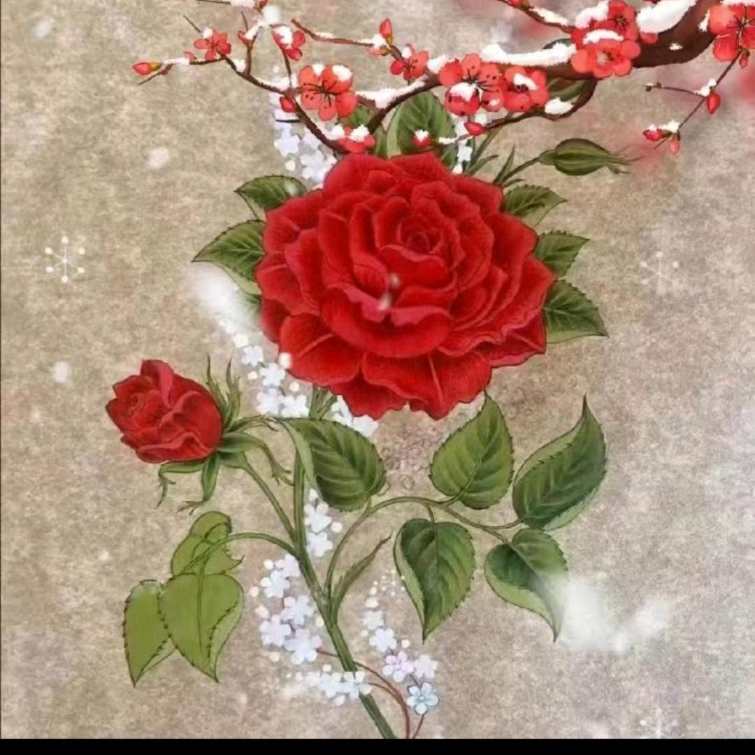小灰灰