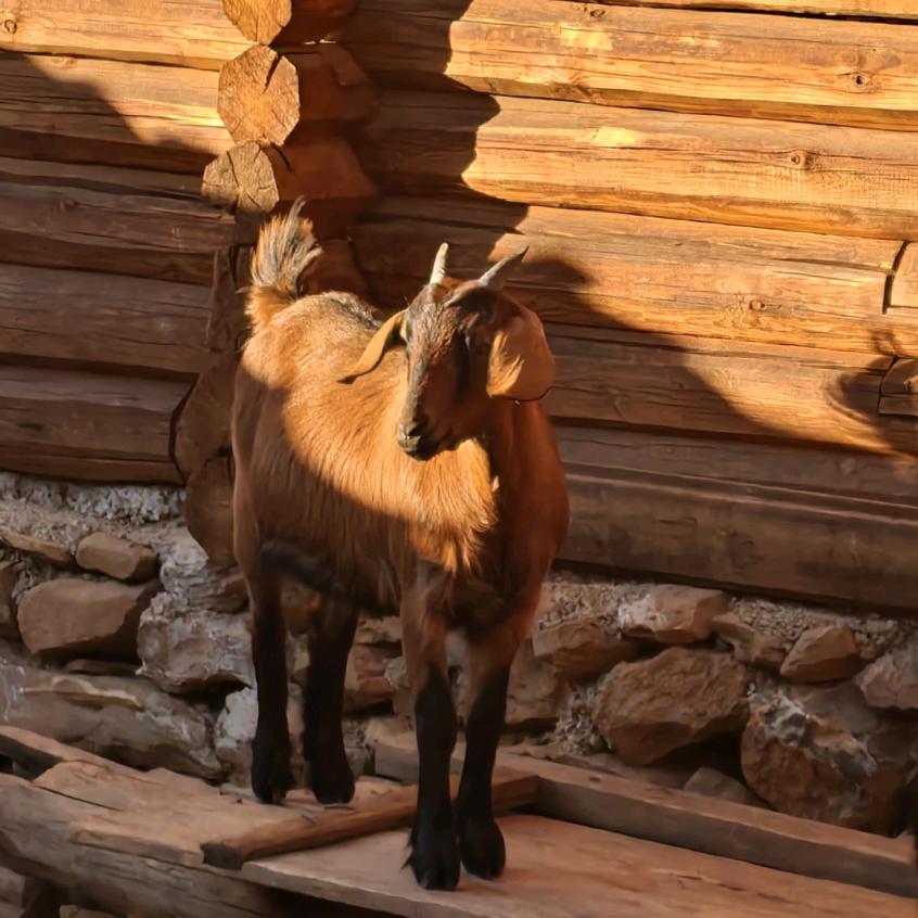 忘崽可云（互粉）